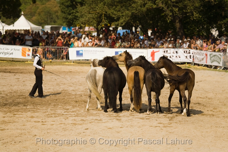 IMG_1667PL.JPG