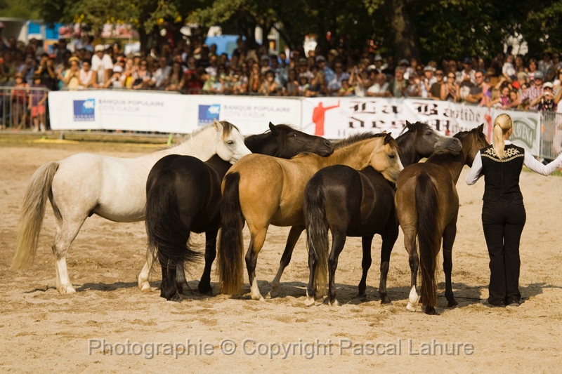 IMG_1670PL.JPG