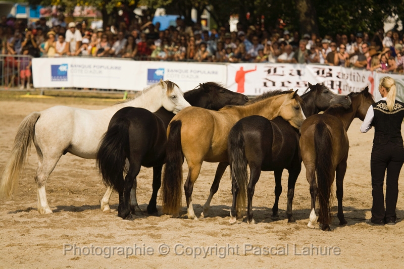 IMG_1671PL.JPG
