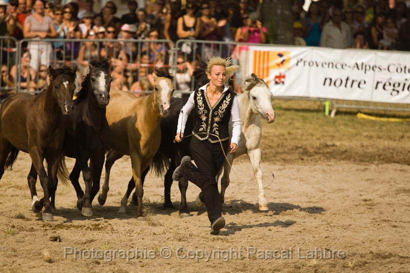 IMG_1680PL.JPG