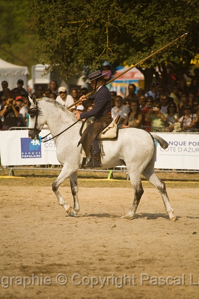 IMG_1683PL.JPG