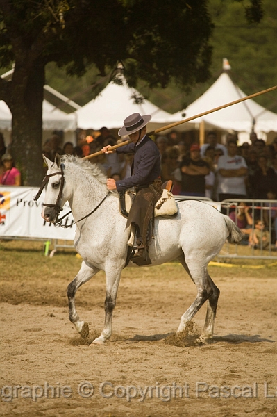 IMG_1685PL.JPG