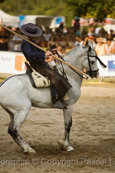 IMG_1690PL.JPG