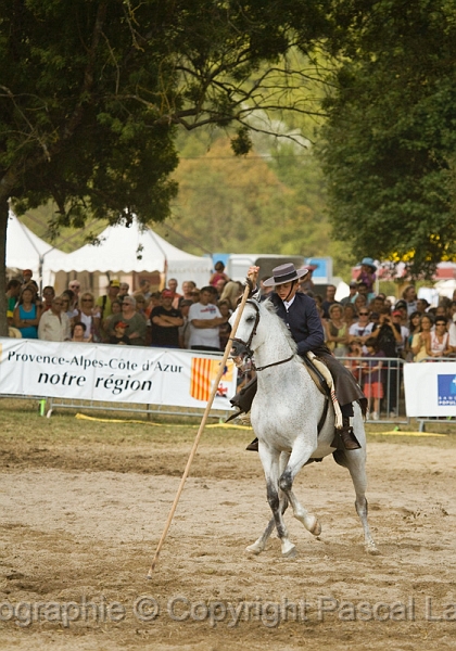 IMG_1699PL.JPG
