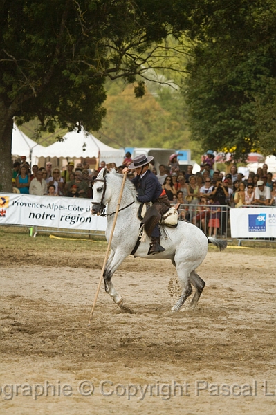 IMG_1701PL.JPG