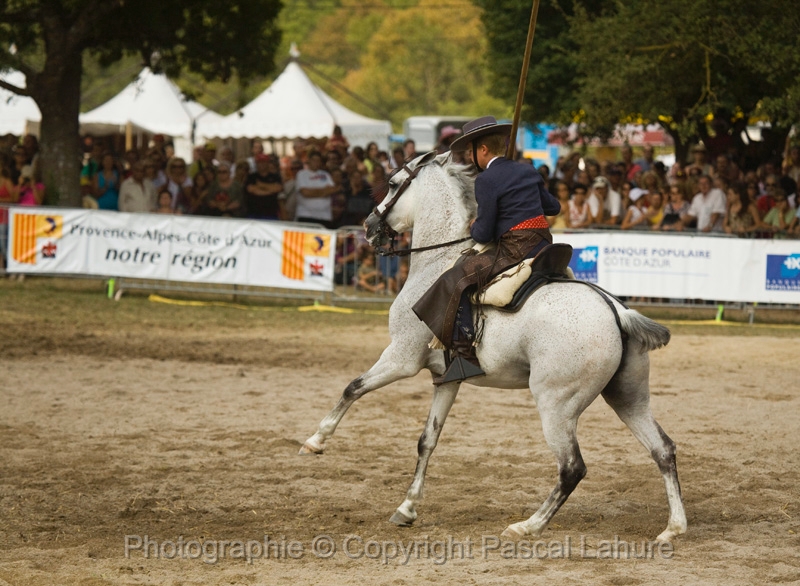 IMG_1705PL.JPG