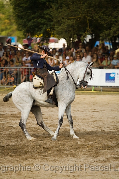 IMG_1713PL.JPG