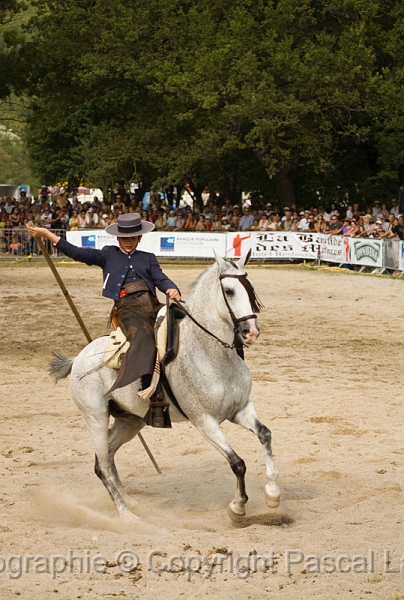 IMG_1722PL.JPG