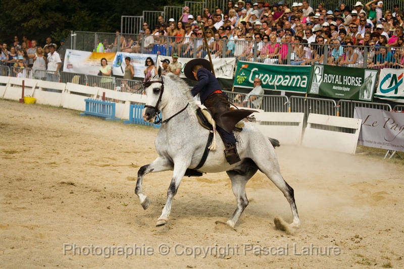 IMG_1725PL.JPG