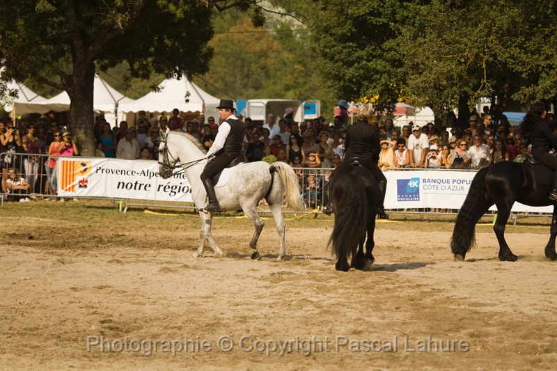 IMG_1728PL.JPG