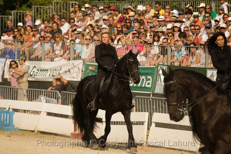 IMG_1731PL.JPG