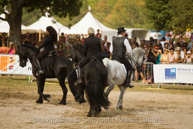 IMG_1740PL.JPG