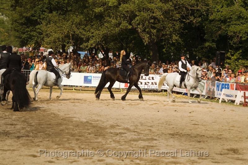 IMG_1746PL.JPG