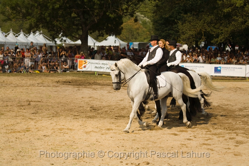 IMG_1750PL.JPG