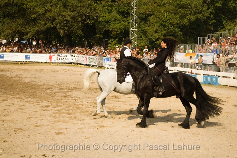 IMG_1758PL.JPG