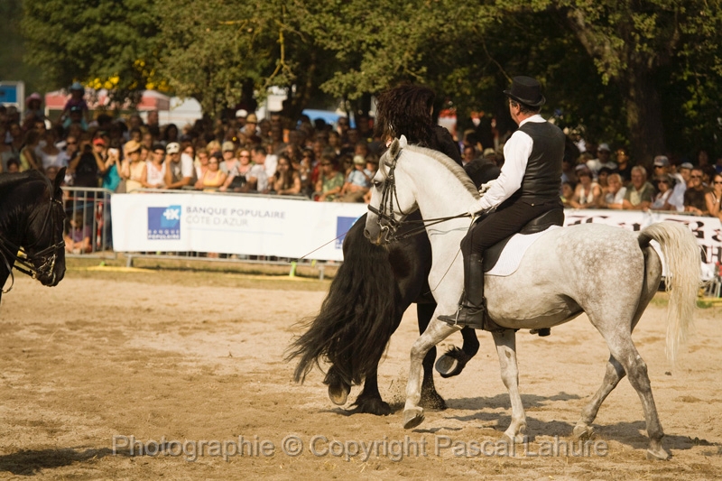 IMG_1761PL.JPG