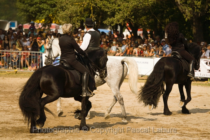 IMG_1762PL.JPG