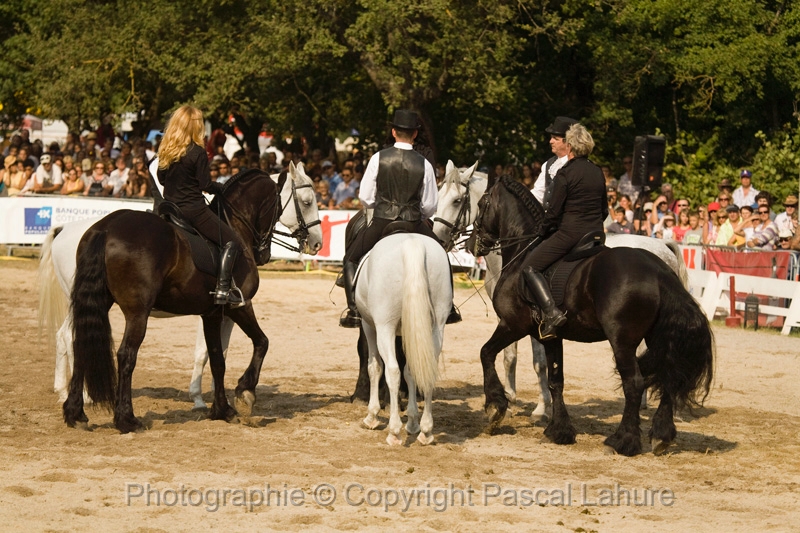 IMG_1768PL.JPG