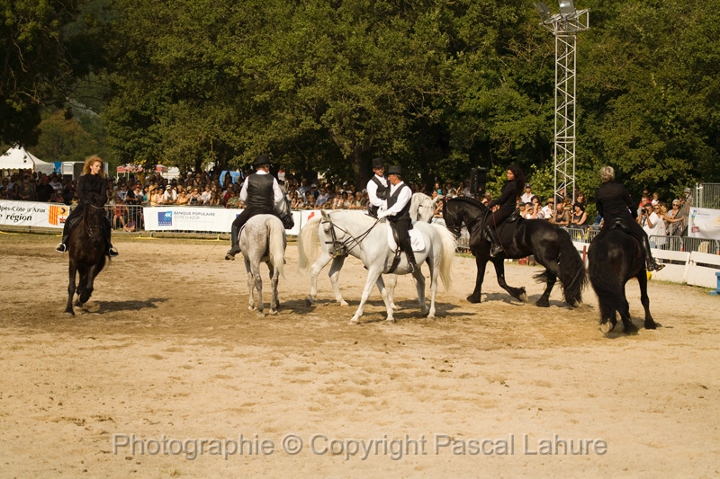 IMG_1769PL.JPG