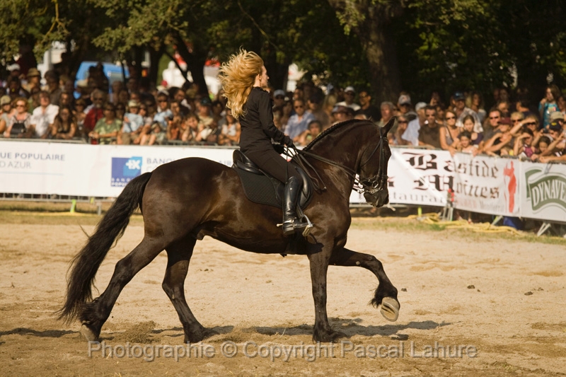 IMG_1771PL.JPG