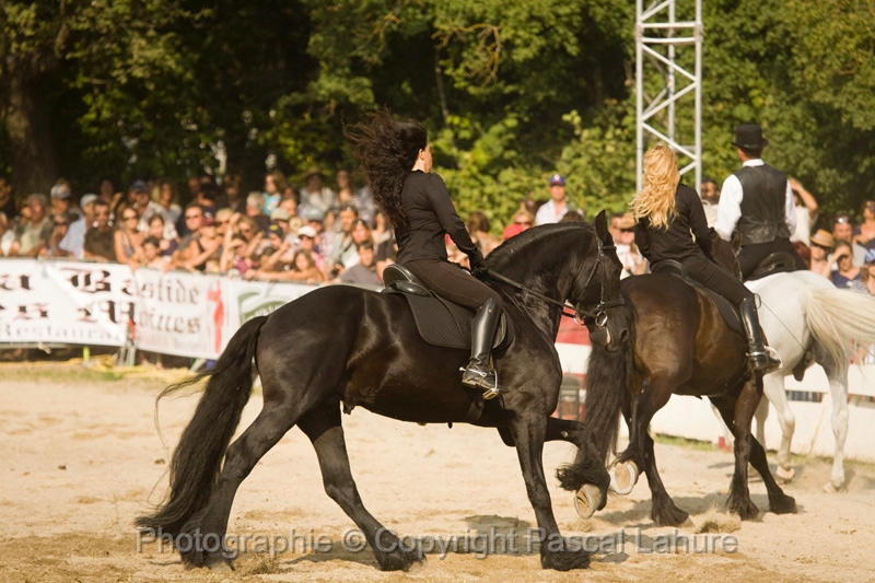 IMG_1772PL.JPG