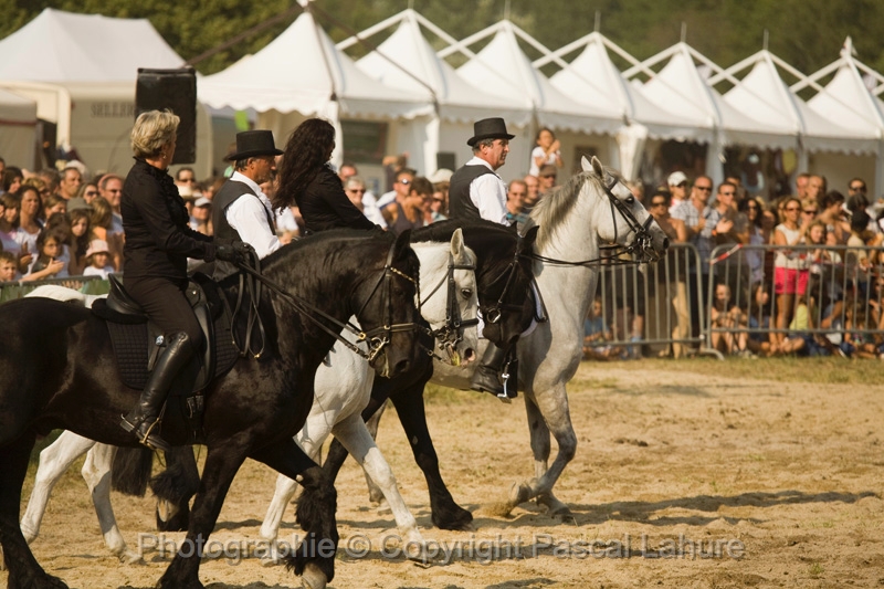 IMG_1779PL.JPG