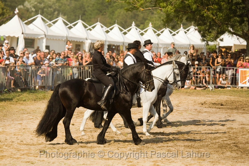 IMG_1780PL.JPG