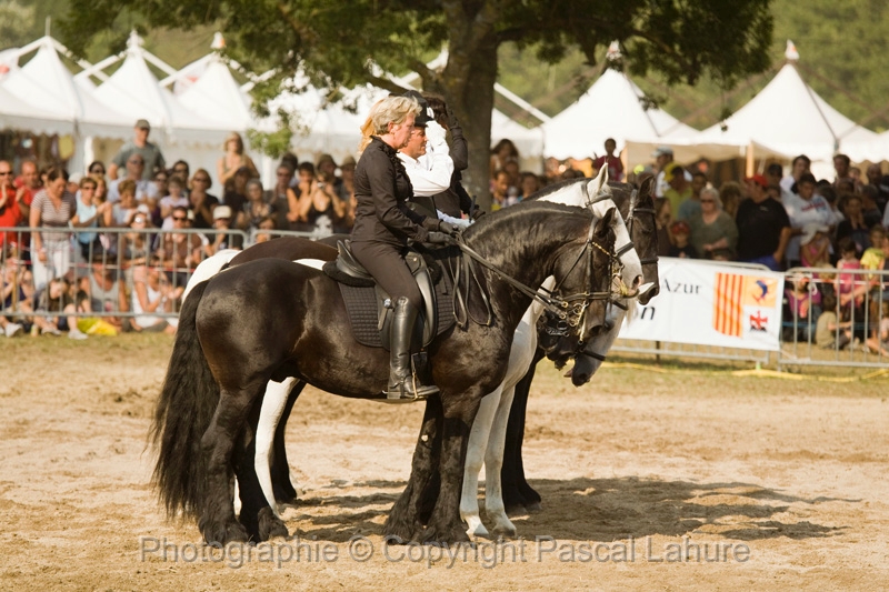 IMG_1781PL.JPG