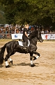 IMG_1376PL