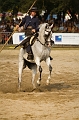 IMG_1727PL
