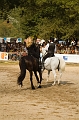 IMG_1742PL