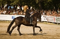 IMG_1771PL