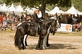 IMG_1781PL