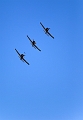 EJ9C7499_Pascal_Lahure