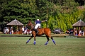 IMG_4760_PLi