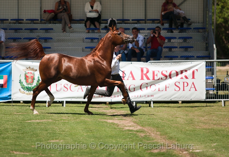 _42I0851_Pascal_Lahure.JPG