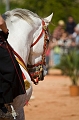 IMG_6162PL