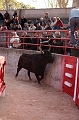 _42I6815_Pascal_Lahure