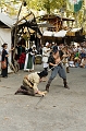IMG_9645PL
