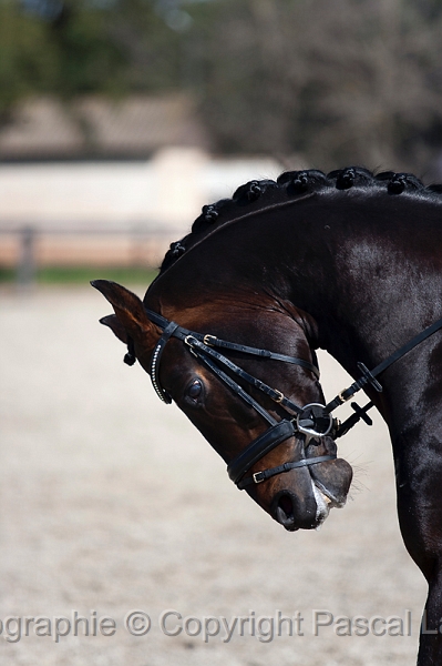 _F5Q4946i_Pascal_Lahure.jpg