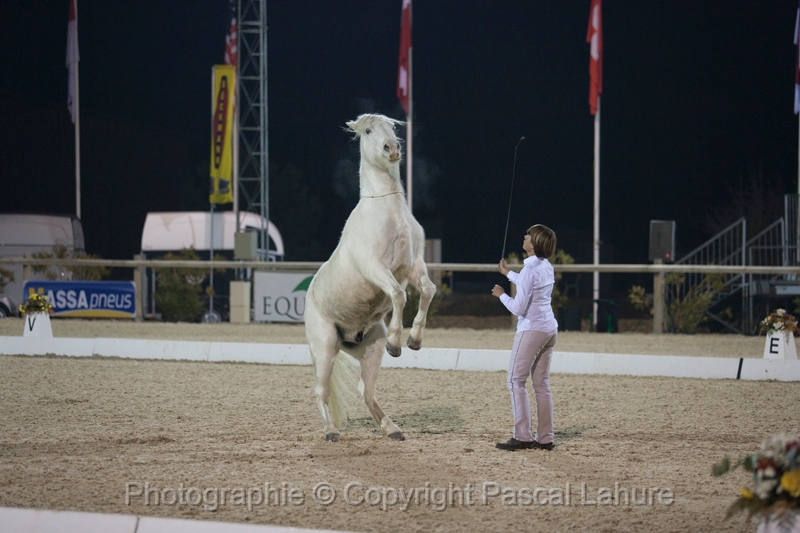 _F5Q5536_Pascal_Lahure.JPG