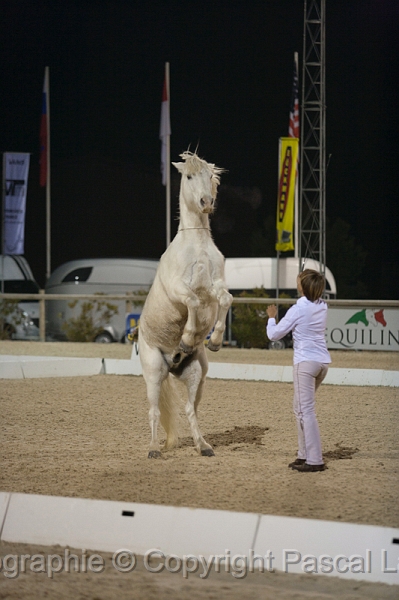 _F5Q5537_Pascal_Lahure.JPG