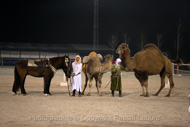 _F5Q8226_Pascal_Lahure.JPG