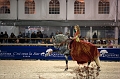 _F5Q8241_Pascal_Lahure