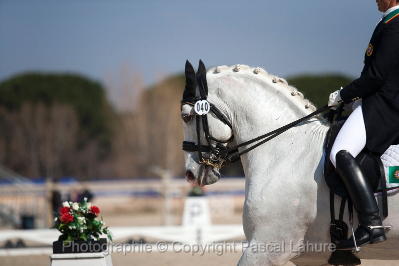 _F5Q6263_Pascal_Lahure.JPG