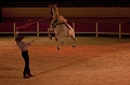 _42I4536_Pascal_Lahure