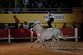 _42I4628_Pascal_Lahure