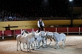 _42I4660_Pascal_Lahure