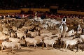 _42I4807_Pascal_Lahure