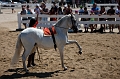 _42I4304_Pascal_Lahure